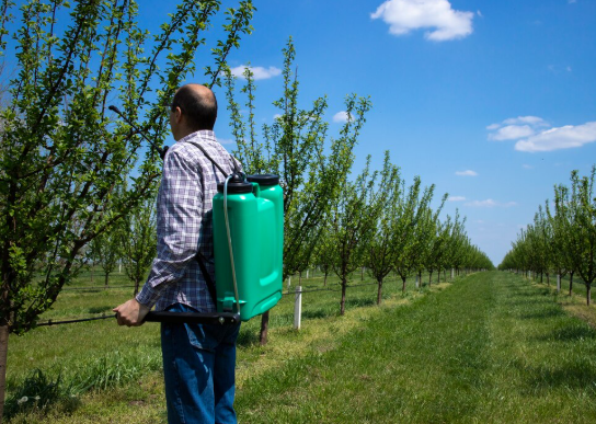 Organic Fruit Tree Pesticide: A Grower's Guide to Protecting Your Orchard Without Synthetic Chemicals