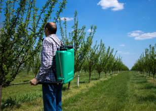 Organic Fruit Tree Pesticide: A Grower's Guide to Protecting Your Orchard Without Synthetic Chemicals