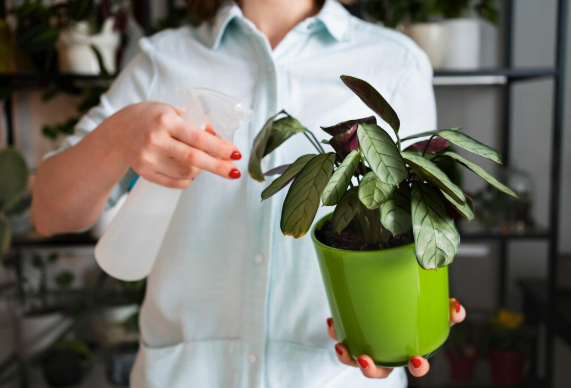 Choosing the Right Water Conditioner for Plants in Commercial Grow Systems