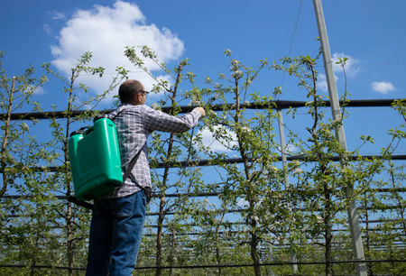 Why the Best Fungicide for Plants Also Needs a Clean Water Source