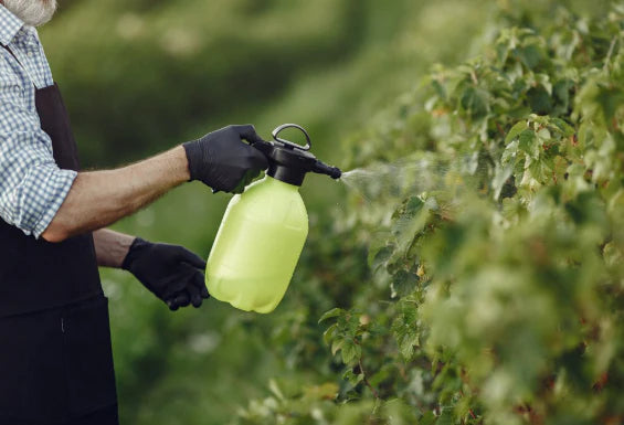 Organic Pesticide Spray as Plant Stewardship, Not Force