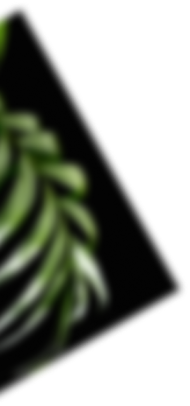leaf2
